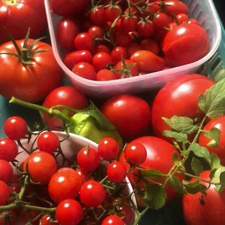 Schlossberg & Garten In Der & Unweit Vom 