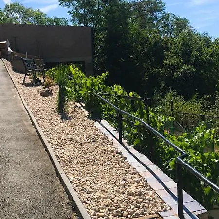 Schlossberg & Garten In Der & Unweit Vom 