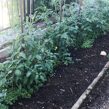 Schlossberg & Garten In Der & Unweit Vom 