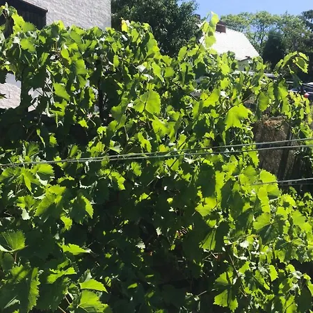 Schlossberg & Garten In Der & Unweit Vom 