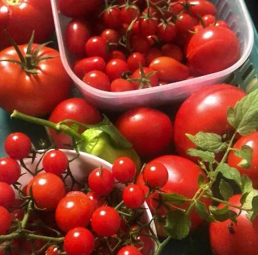 Schlossberg & Garten In Der & Unweit Vom 