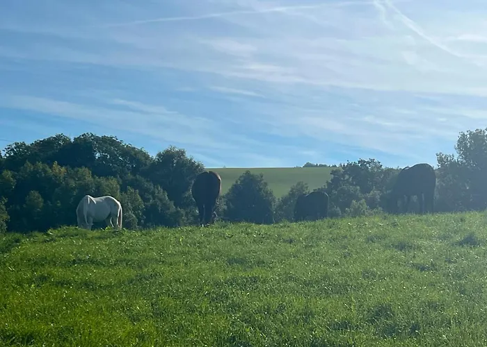 Schlossberg & Garten In Der & Unweit Vom 