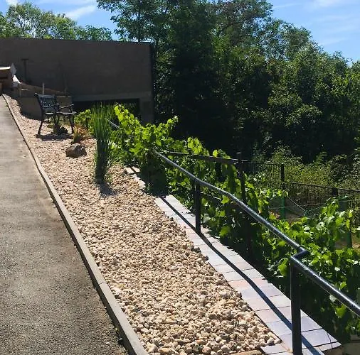 Schlossberg & Garten In Der & Unweit Vom 