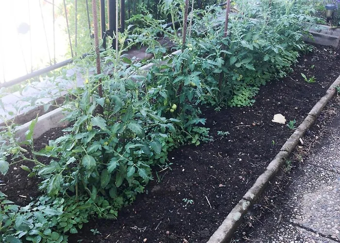 Schlossberg & Garten In Der & Unweit Vom 