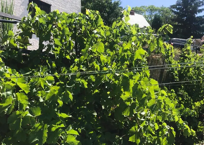 Schlossberg & Garten In Der & Unweit Vom 