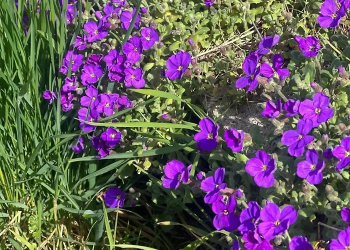 Apartament Schlossberg & Garten In Der & Unweit Vom 